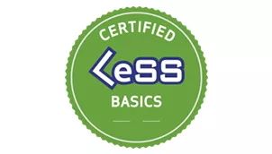 Практический курс по фреймворку LeSS